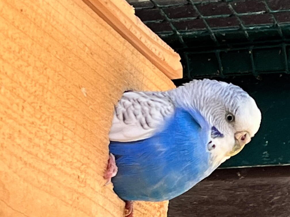 23-09-22 13-02-52 7271